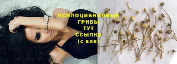 прущие крисы Ельня