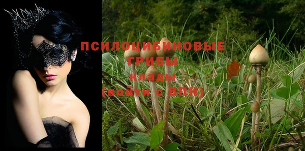 прущие крисы Ельня