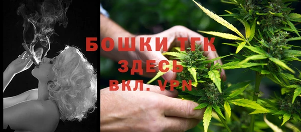 прущие крисы Ельня