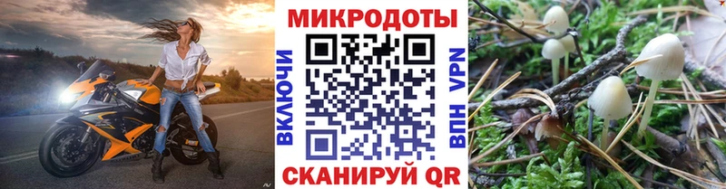 Купить  Балабаново  Галлюциногенные грибы MAGIC MUSHROOMS 